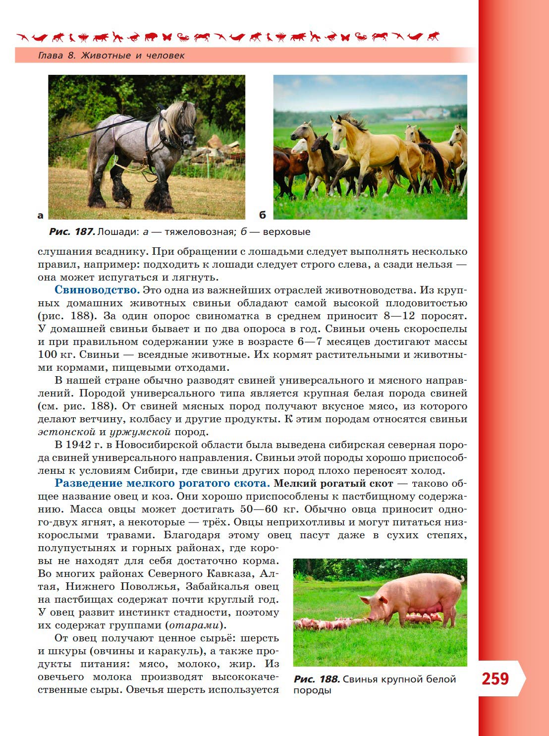  Биология 8 класс учебник Пасечник страница 259. 2023 год
