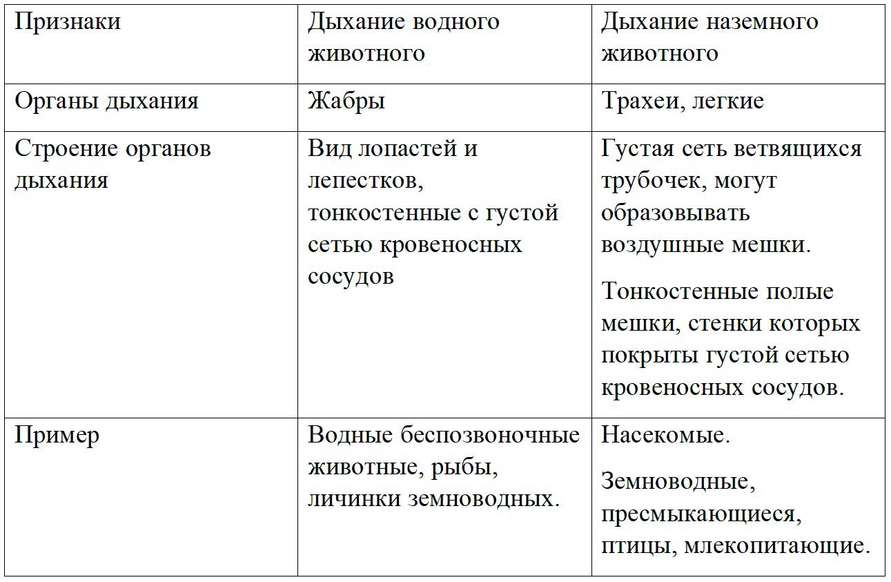  Биология 8 класс учебник Пасечник страница 32. 2023 год