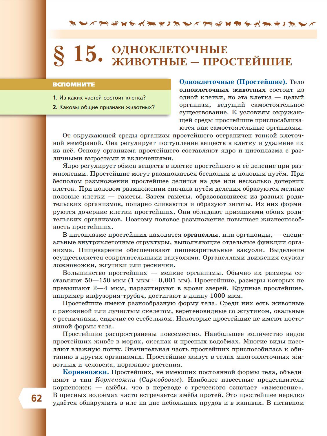  Биология 8 класс учебник Пасечник страница 62. 2023 год