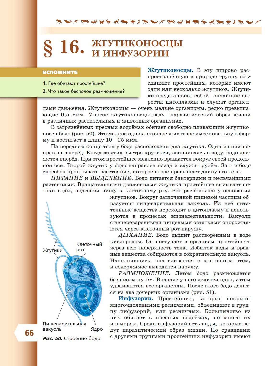  Биология 8 класс учебник Пасечник страница 66. 2023 год