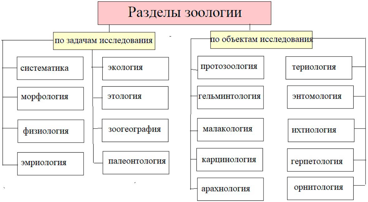  Биология 8 класс учебник Пасечник страница 9. 2023 год