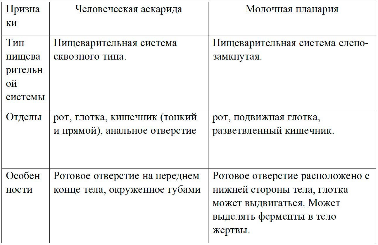  Биология 8 класс учебник Пасечник страница 93. 2023 год