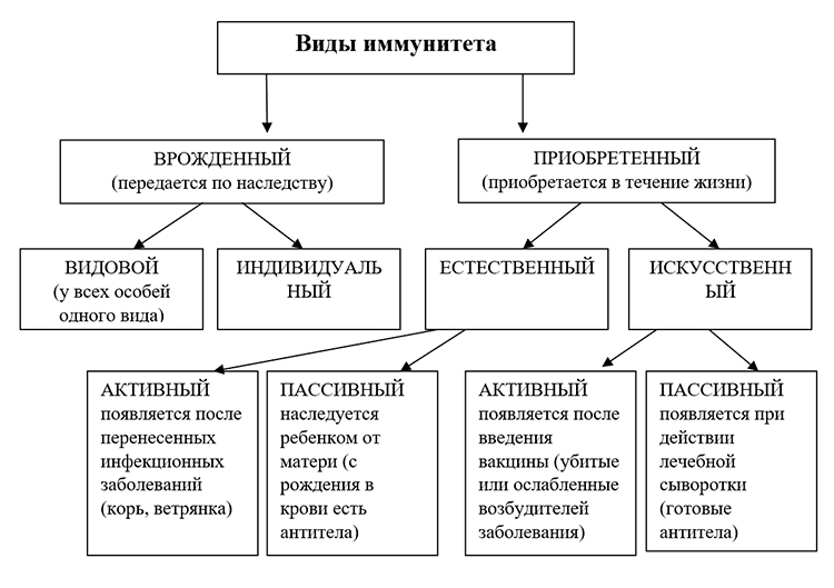 Биология учебник 9 класс. 2023 год. Авторы: Пасечник В. В., Суматохин С. В., страница 109.