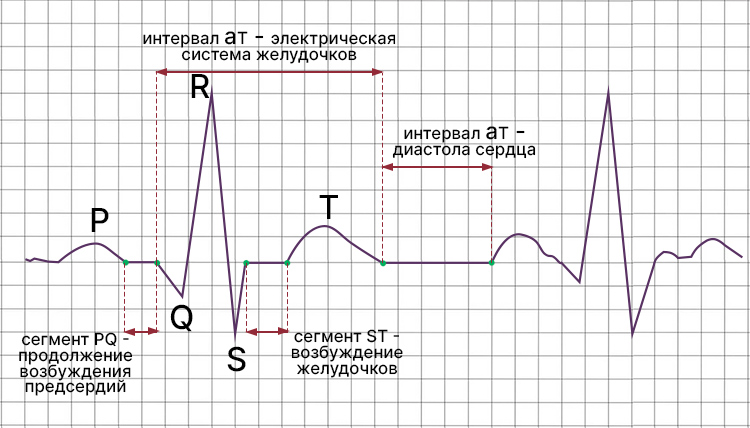 Биология учебник 9 класс. 2023 год. Авторы: Пасечник В. В., Суматохин С. В., страница 115.