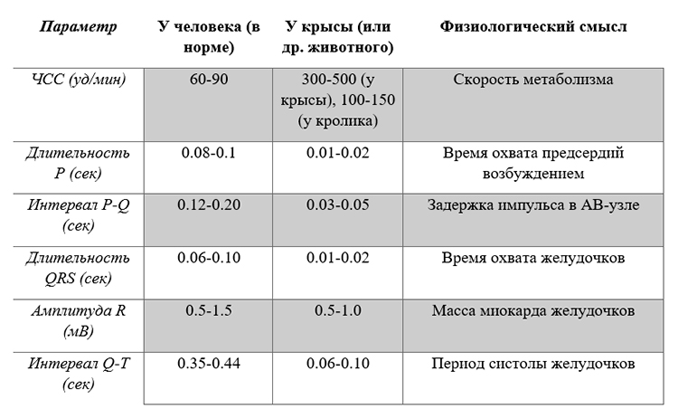 Биология учебник 9 класс. 2023 год. Авторы: Пасечник В. В., Суматохин С. В., страница 124.