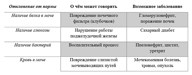 Биология учебник 9 класс. 2023 год. Авторы: Пасечник В. В., Суматохин С. В., страница 194.