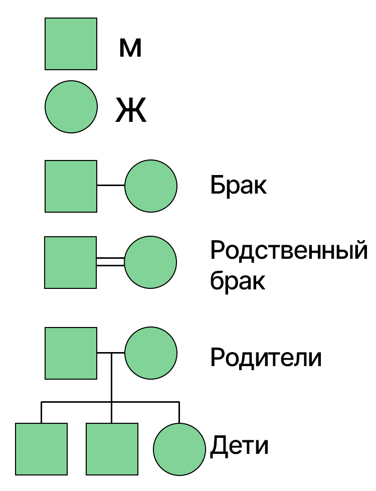 Биология учебник 9 класс. 2023 год. Авторы: Пасечник В. В., Суматохин С. В., страница 198.