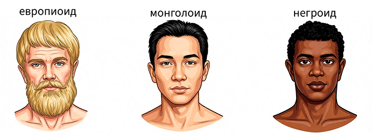 Биология учебник 9 класс. 2023 год. Авторы: Пасечник В. В., Суматохин С. В., страница 21.