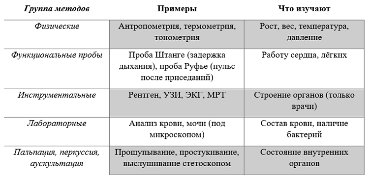 Биология учебник 9 класс. 2023 год. Авторы: Пасечник В. В., Суматохин С. В., страница 24.