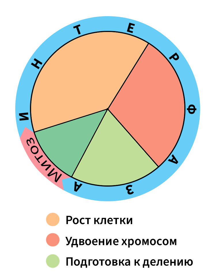 Биология учебник 9 класс. 2023 год. Авторы: Пасечник В. В., Суматохин С. В., страница 34.