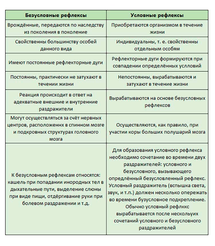Биология учебник 9 класс. 2023 год. Авторы: Пасечник В. В., Суматохин С. В., страница 47.