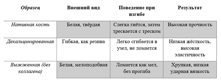 Биология учебник 9 класс. 2023 год. Авторы: Пасечник В. В., Суматохин С. В., страница 92.