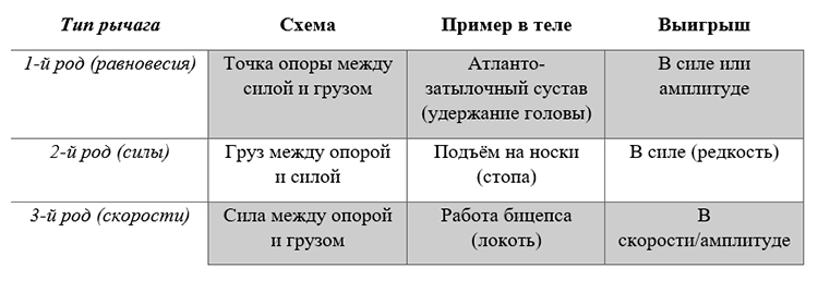 Биология учебник 9 класс. 2023 год. Авторы: Пасечник В. В., Суматохин С. В., страница 92.