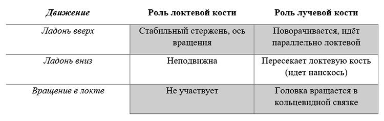 Биология учебник 9 класс. 2023 год. Авторы: Пасечник В. В., Суматохин С. В., страница 92.
