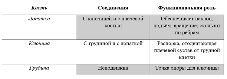Биология учебник 9 класс. 2023 год. Авторы: Пасечник В. В., Суматохин С. В., страница 92.