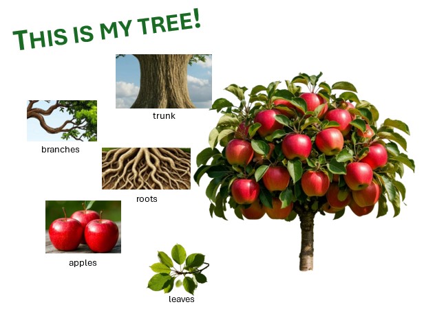 Английский язык, 3 класс, Баранова, 1 часть, страница 36, задание 1