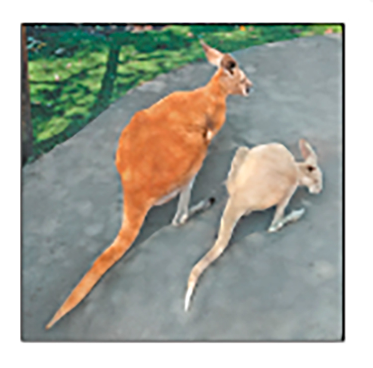 Английский язык 3 класс Учебник Вербицкая 1 часть, год: 2020-2021, страница 32, задание 14