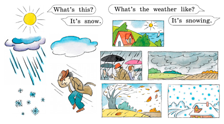 Английский язык 3 класс Учебник Вербицкая 1 часть, год: 2020-2021, страница 56, задание 11