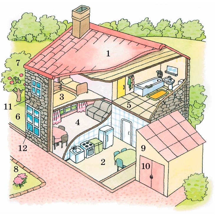 Картинка из учебника Rainbow по английскому языку 4 класс, страница 71 номер 3. Афанасьева, Михеева. 1 часть. 2021 год