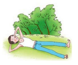 Картинка из учебника по английскому языку 4 класс, страница 87 номер 2. Афанасьева, Михеева. 1 часть. 2021 год