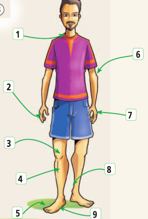Английский язык 5 класс учебник Баранова, Дули страница 124, номер 6-1. Год 2023.