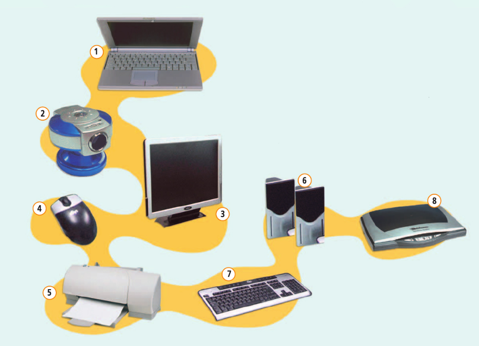 Английский язык 5 класс учебник Баранова, Дули страница 146, номер 3. Год 2023.