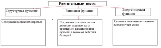 Химия 10 класс. Габриелян. Страница 100. Номер 2. 2022 год.