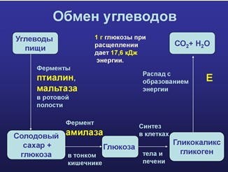 Химия 10 класс. Габриелян. Страница 116. Номер 5. 2022 год.
