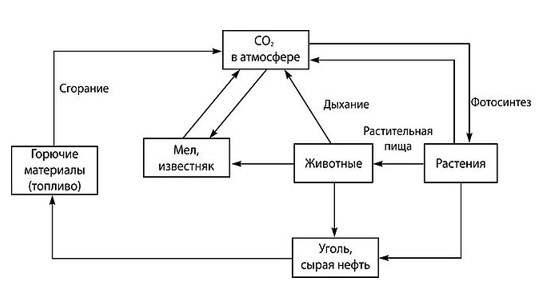 Химия 10 класс. Габриэлян. Страница 12. Номер 2. 2022 год.
