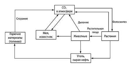 Химия 10 класс. Габриелян. Страница 12. Номер 2. 2022 год.