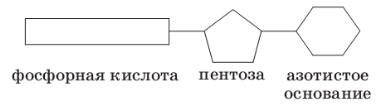 Химия 10 класс. Габриелян. Страница 135. 2022 год.