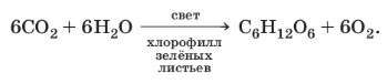 Химия 10 класс. Габриелян. Страница 64. 2022 год.