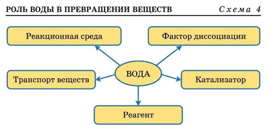 Химия 11 класс. Габриелян. Страница 144. 2022 год. 