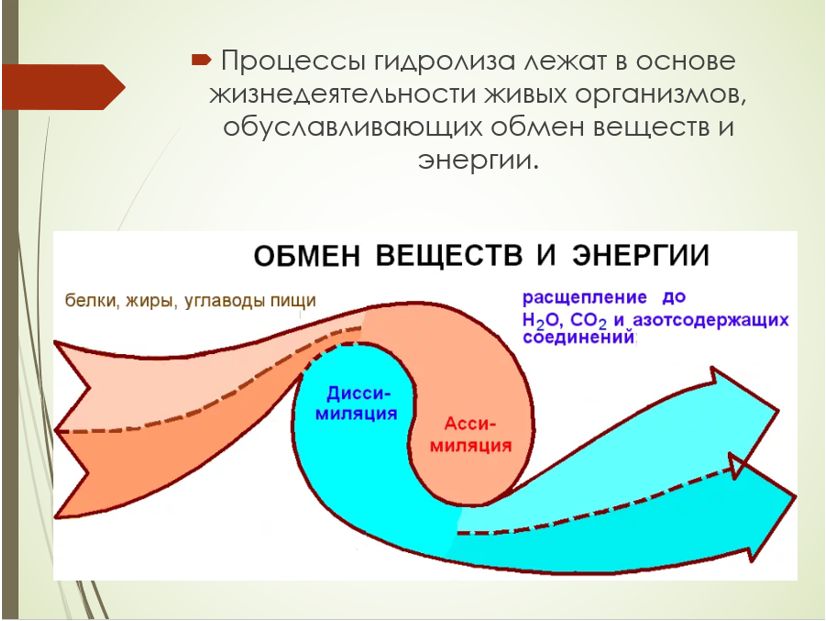 Химия 11 класс. Габриелян. Страница 155. 2022 год. 