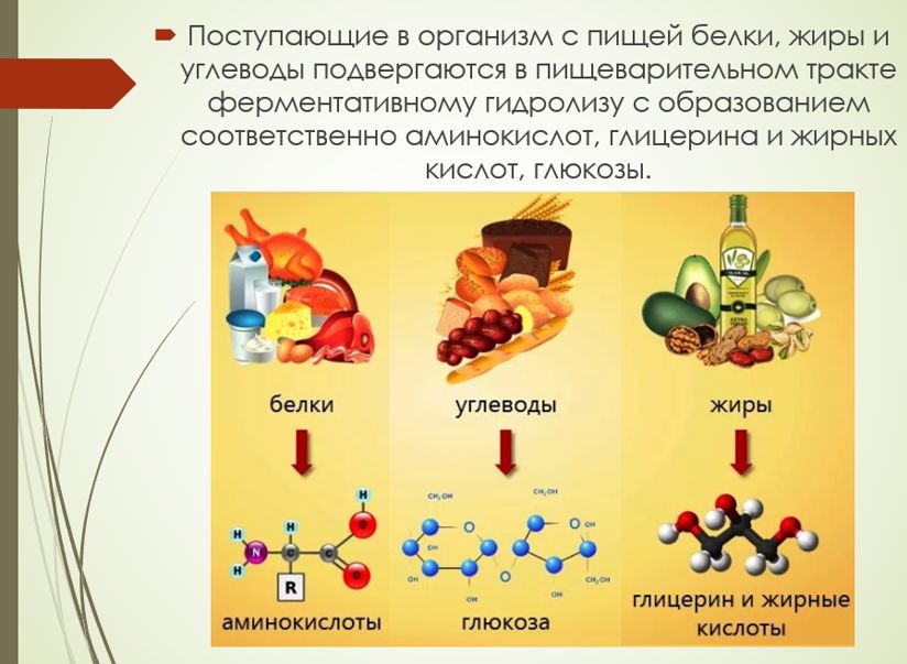 Химия 11 класс. Габриелян. Страница 155. 2022 год. 