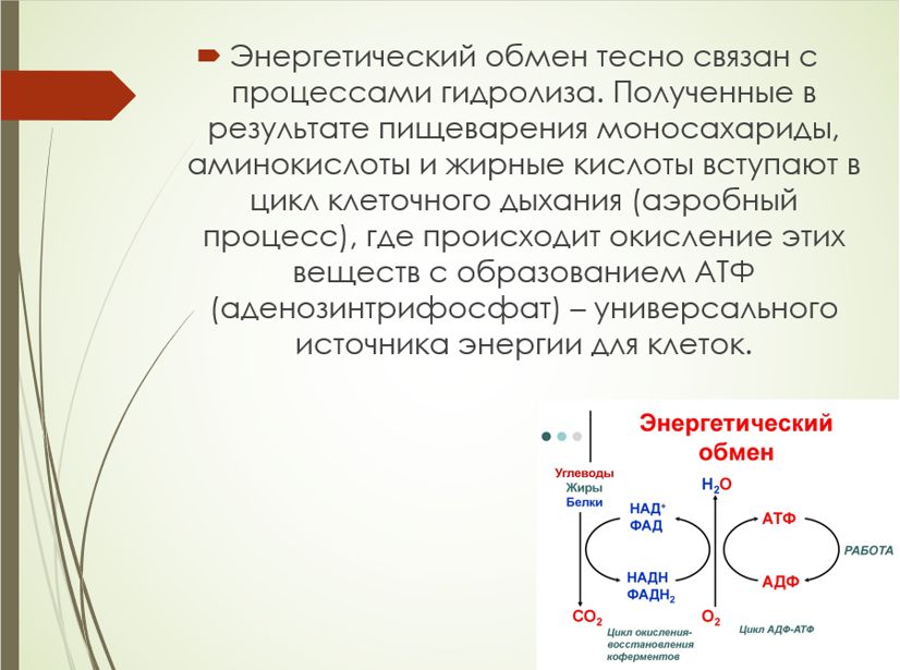 Химия 11 класс. Габриелян. Страница 155. 2022 год. 