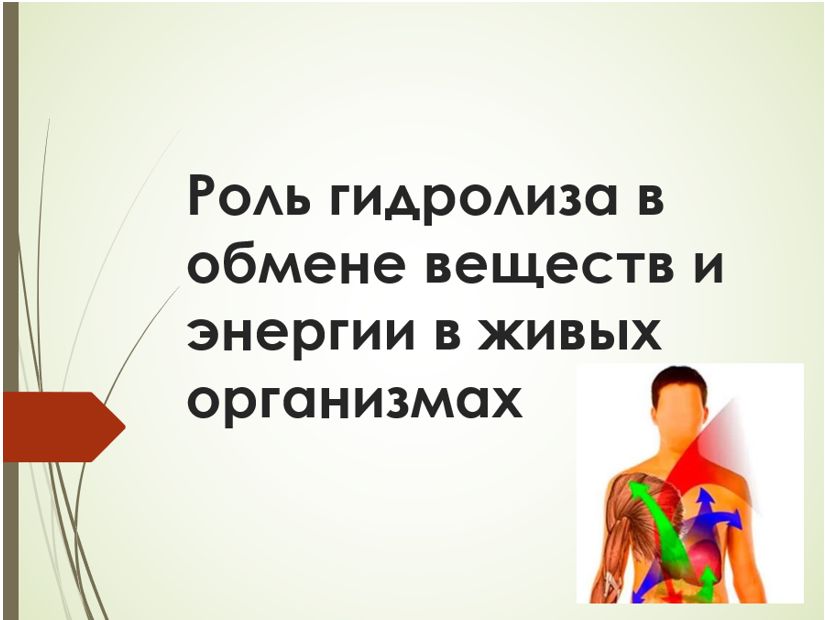 Химия 11 класс. Габриелян. Страница 155. 2022 год. 