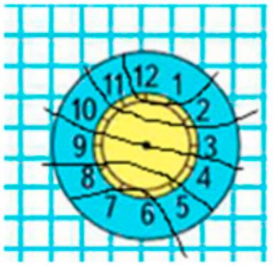 Пояснение к заданию 7