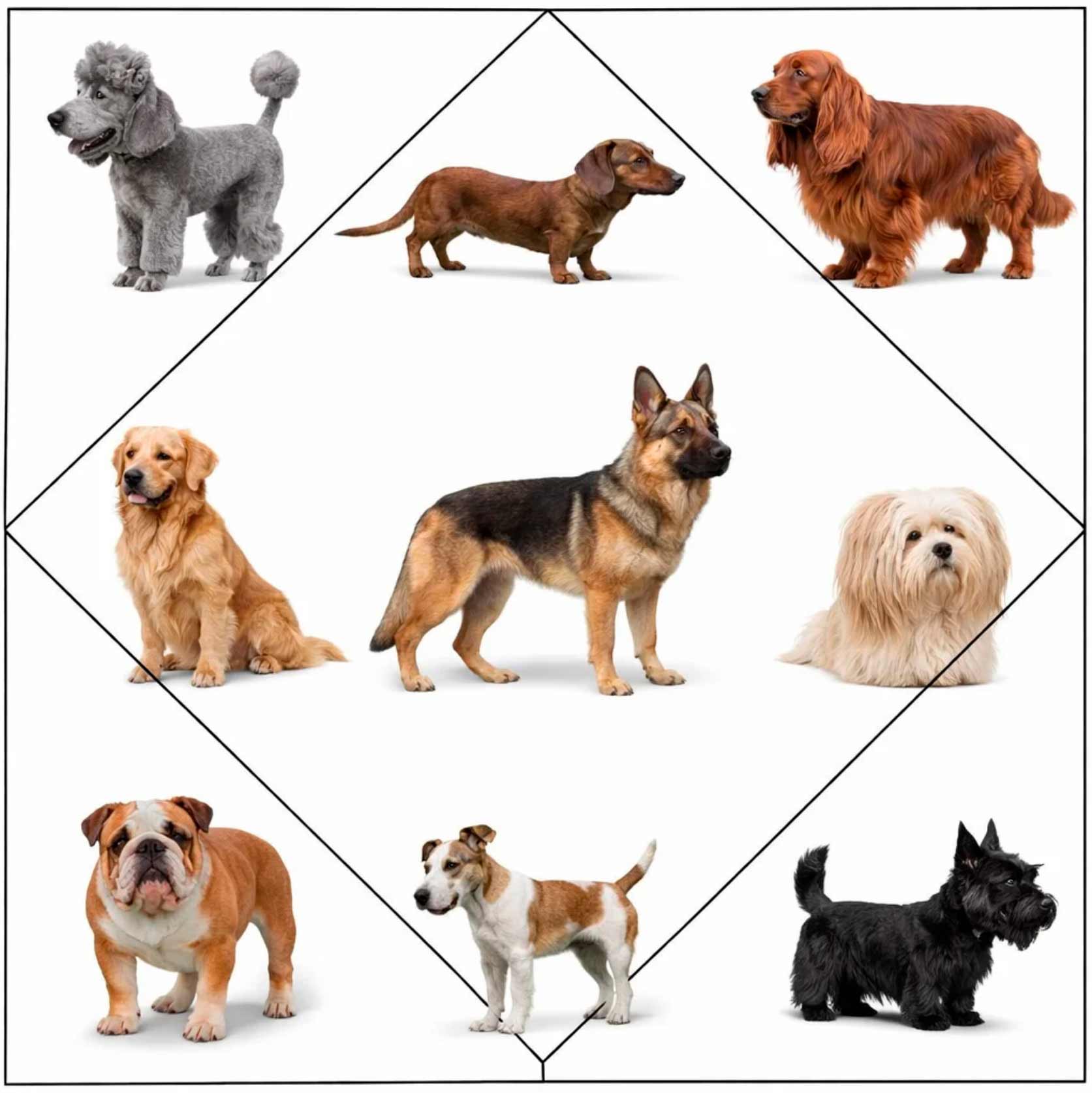 Пояснение к заданию 2