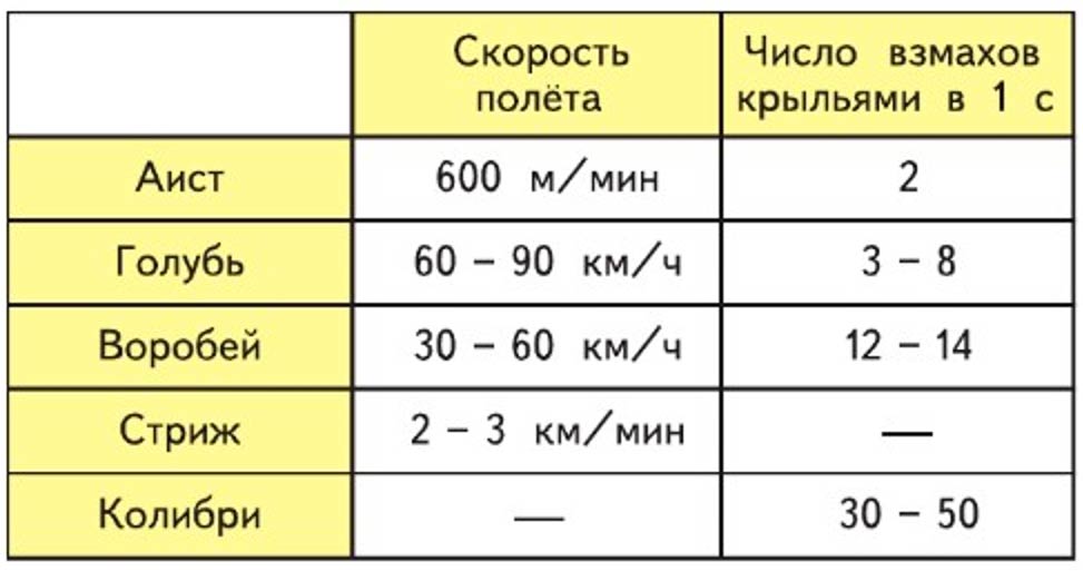 Пояснение к заданию 3