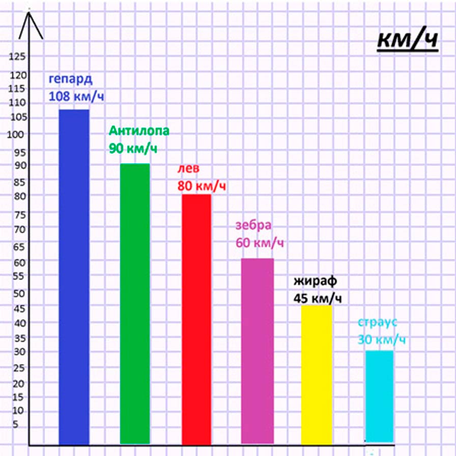 Пояснение к заданию 6