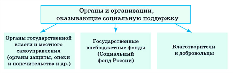 Картинка из учебника по обществознанию 10 класс. Страница 208, рисунок 1. Боголюбов, Лазебникова. 2024 год