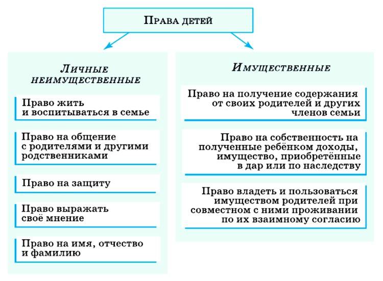 Картинка из учебника по обществознанию 10 класс. Страница 244, рисунок 1. Боголюбов, Лазебникова. 2024 год