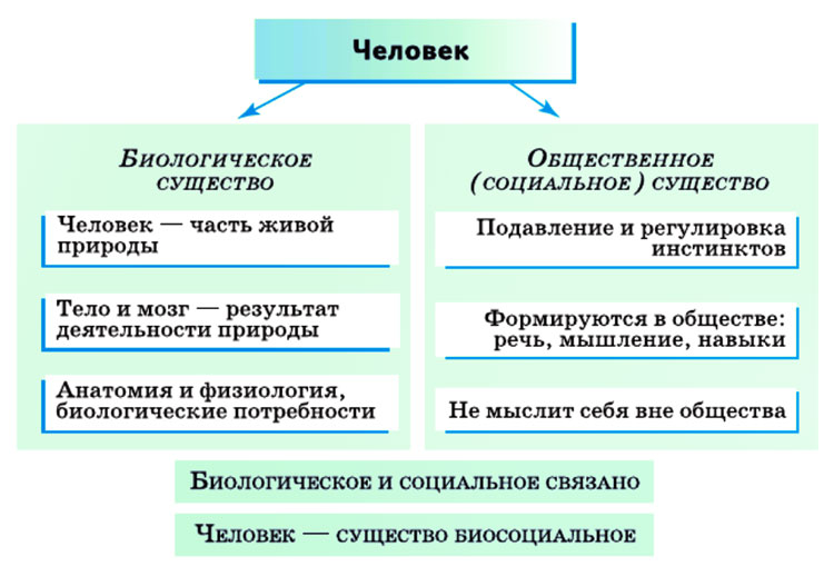 Картинка из учебника по обществознанию 10 класс. Страница 37, рисунок 1. Боголюбов, Лазебникова. 2024 год