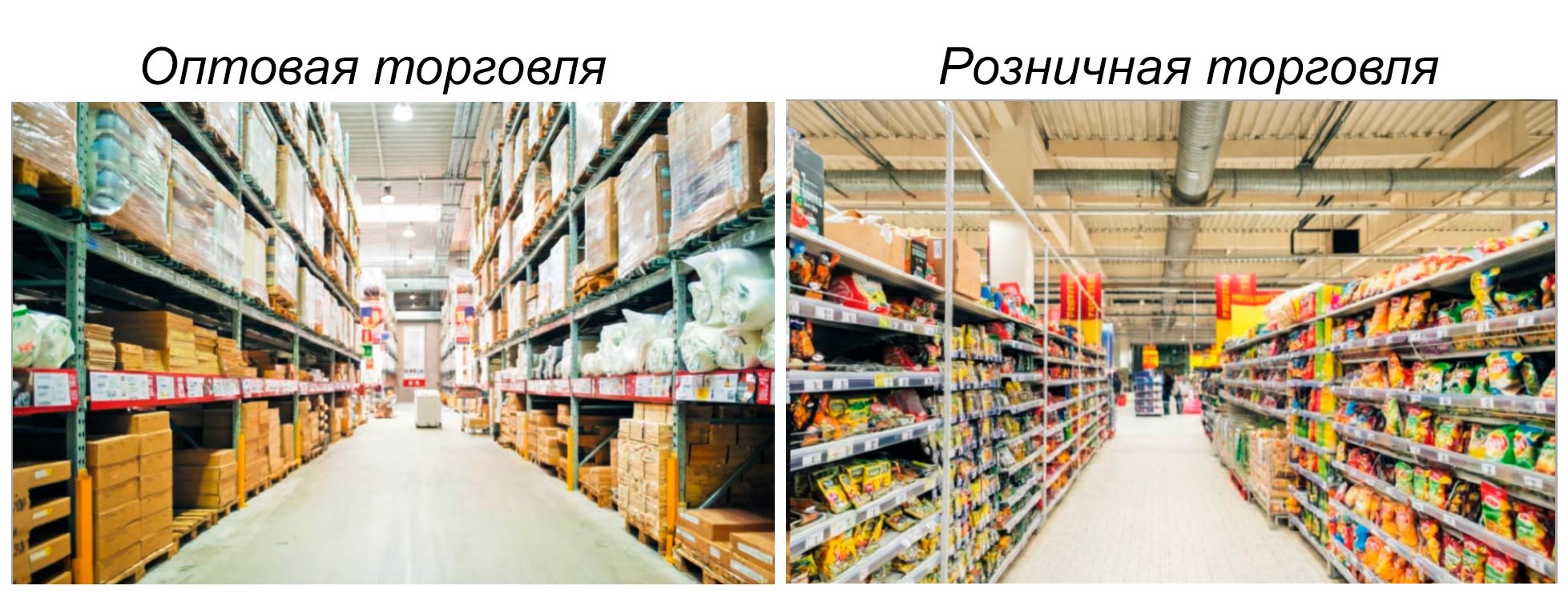 Обществознание 8 класс. 2023 год. Боголюбов, Городецкая, Иванова. Страница 105. 