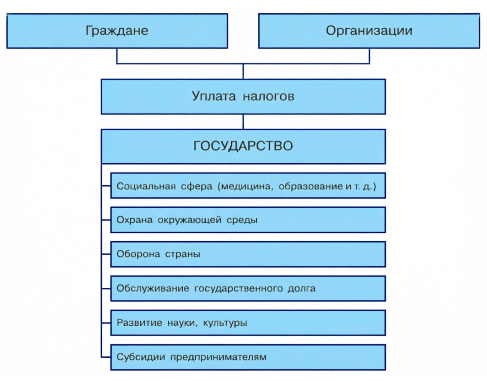 Обществознание 8 класс. 2023 год. Боголюбов, Городецкая, Иванова. Страница 196. 