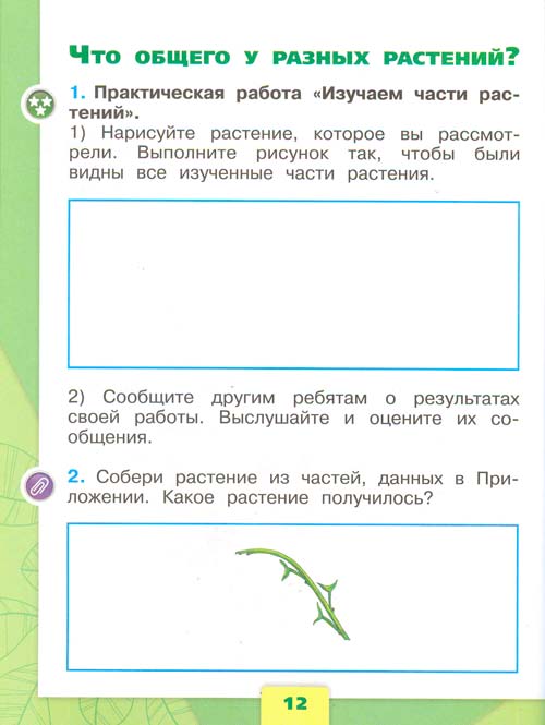 рабочая тетрадь по окружающему миру 1 класс, Плешаков - 1 часть страница 12