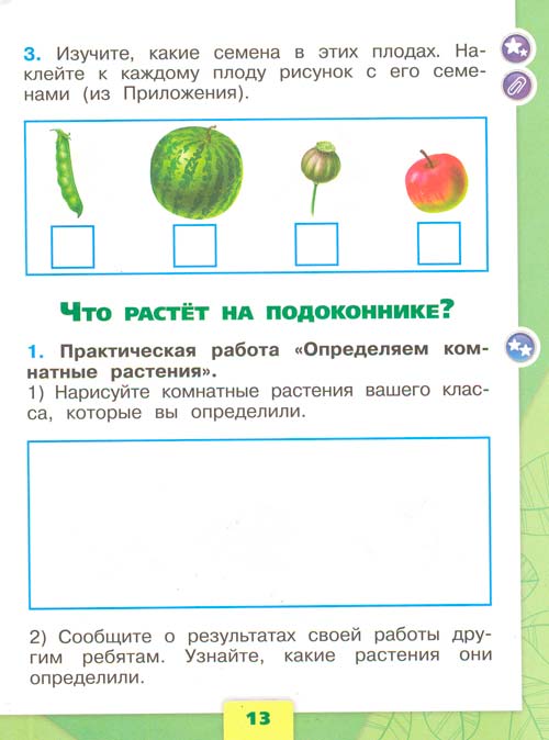 рабочая тетрадь по окружающему миру 1 класс, Плешаков - 1 часть страница 13