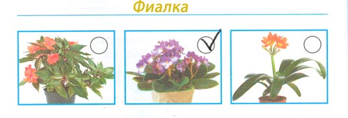 окружающий мир 1 класс рабочая тетрадь 1 часть Плешаков страница 14. Номер 3