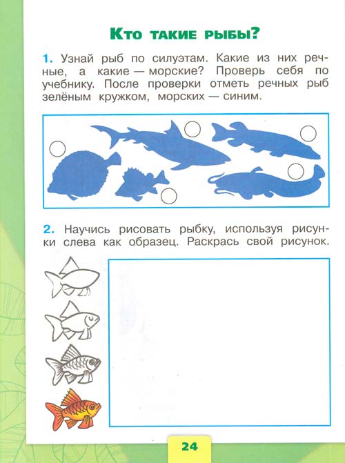 рабочая тетрадь по окружающему миру 1 класс, Плешаков - 1 часть страница 24